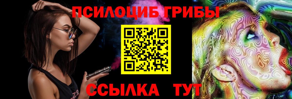 Электрогорск  Псилоцибиновые грибы ЛСД  Вход с VPN 